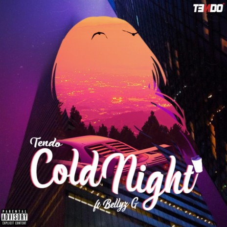 Cold Night/យប់ត្រជាក់ | Boomplay Music