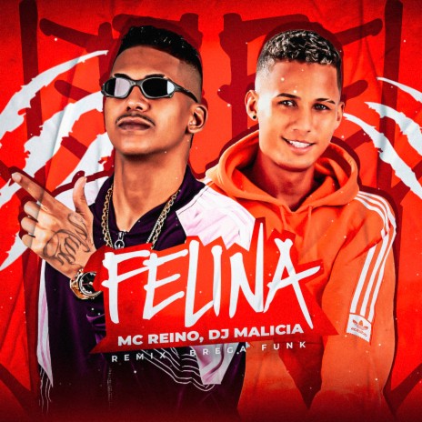 Felina ft. DJ Malicia | Boomplay Music