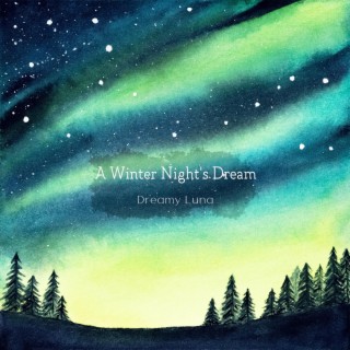 A Winter Night's Dream