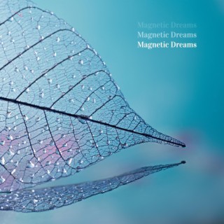 Magnetic Dreams