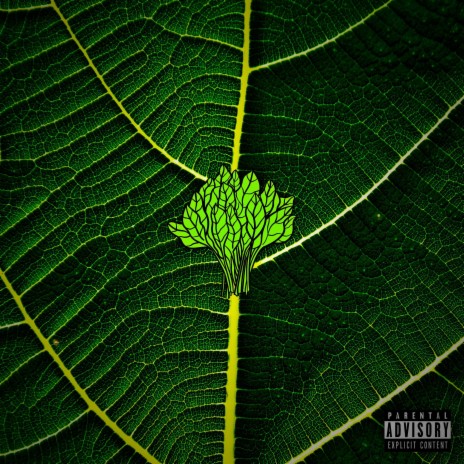 SPINACH ft. Theisy & Cheeky | Boomplay Music