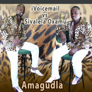 Amagudla-iVoicemail vs Sivalela oXamu