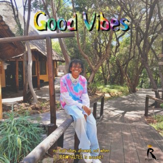 Good Vibes lyrics | Boomplay Music