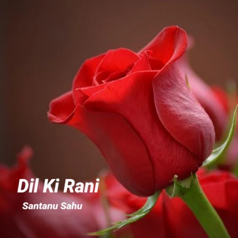 Dil ki Rani | Boomplay Music