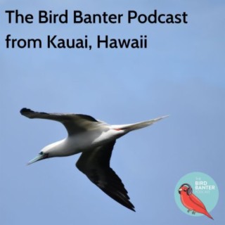 The Bird Banter Podcast from Kauai, Hawaii