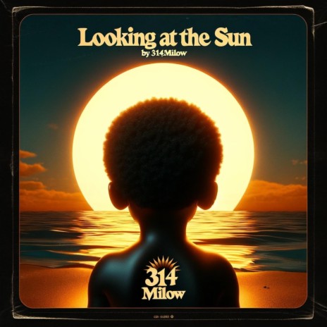 Looking At The Sun | Boomplay Music