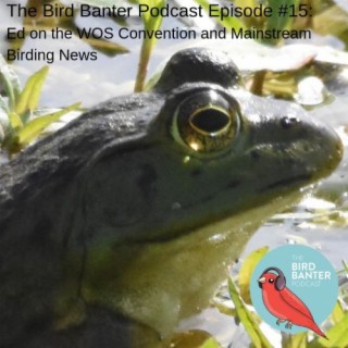 The Bird Banter Podcast Episode #15: Ed on the WOS Convention and Mainstream Birding News
