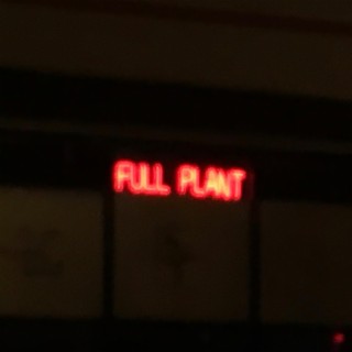 Full Plant