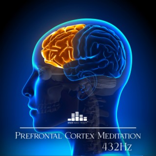 Prefrontal Cortex Meditation: 432Hz Brain Cell Regeneration and Healing, Anxiety Therapy, Pure Tone to Improve Brain Function