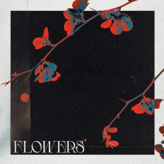 flowers lyrics | Boomplay Music