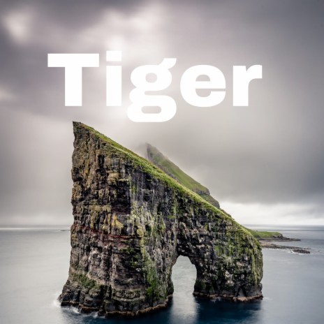 Tiger | Boomplay Music