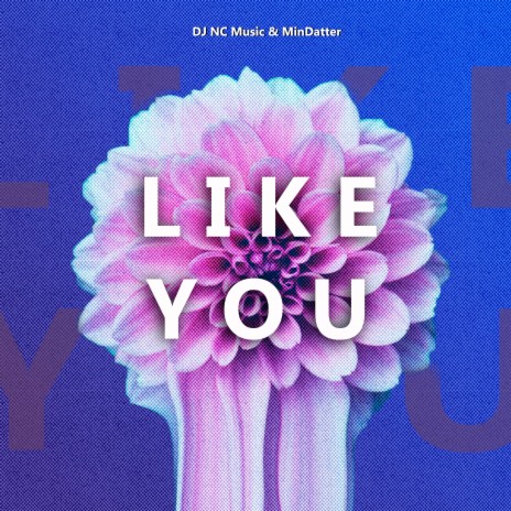 Like You ft. DJ NC Music