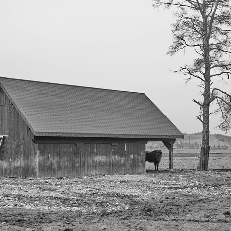 Country Living