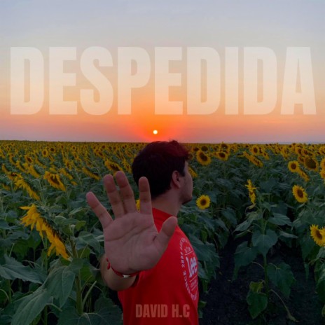 Despedida ft. Sebastian Selj | Boomplay Music