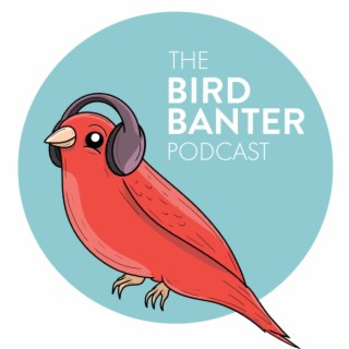 The Bird Banter Podcast Morocco Trip Days 1-2