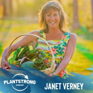 Ep 209: Janet Verney - Getting to the Root Cause of a Debilitating Mystery Illness