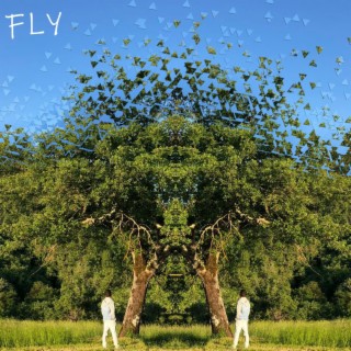 Fly