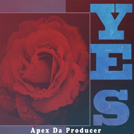 Yes | Boomplay Music