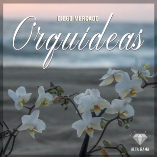 Orquídeas