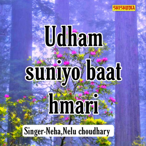 Udham Suniyo Baat Hmari ft. Neelu Chaudhary | Boomplay Music