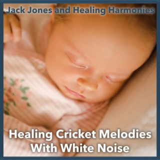 Healing Cricket Melodies with White Noise