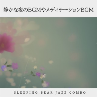 静かな夜のBGMやメディテーションBGM