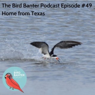 The Bird Banter Podcast Episode #49: Home from Texas