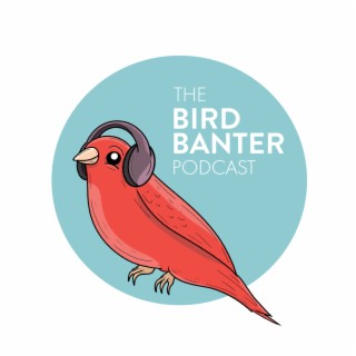 The Bird Banter Podcast #70 with Peter Hodum