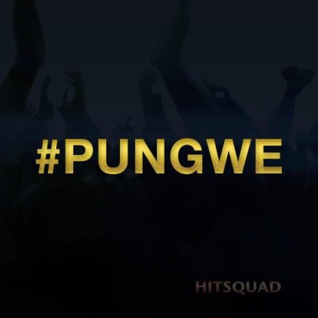 Pungwe ft. King Hambahamba & Panashe | Boomplay Music