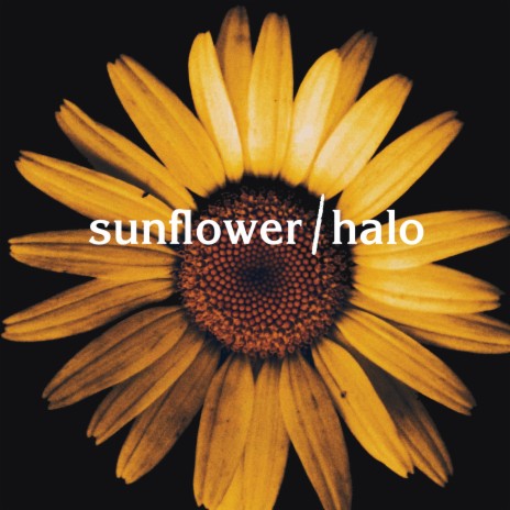 Sunflower / Halo (Mashup) | Boomplay Music