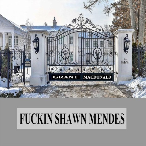 Fuckin' Shawn Mendes | Boomplay Music