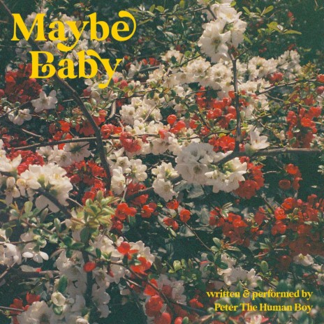 Maybe Baby | Boomplay Music