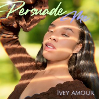 Persuade Me lyrics | Boomplay Music