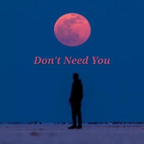 Don't Need You ft. Fxckroses & Loval | Boomplay Music