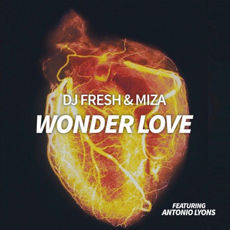 Wonder Love ft. Miza & Antonio Lyons | Boomplay Music