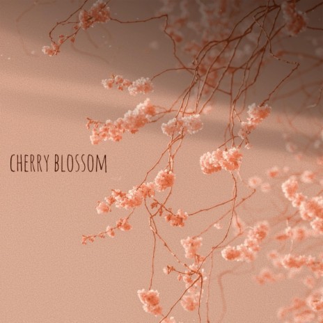 Cherry Blossom | Boomplay Music