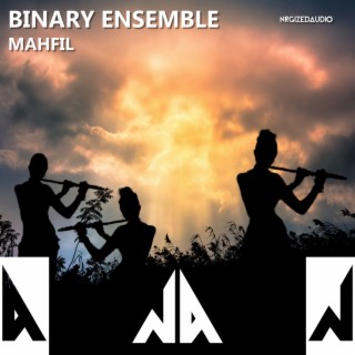 Binary Ensemble