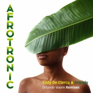 Afrotronic -Orlando Voorn Remixes