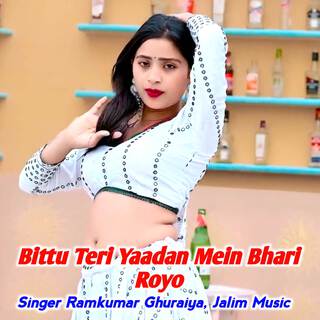 Bittu Teri Yaadan Mein Bhari Royo