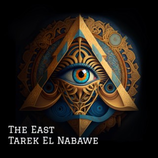 Tarek El Nabawe