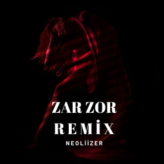 Zar Zor (Remix)