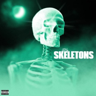 Skeleton In The Room lyrics | Boomplay Music