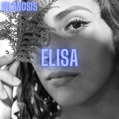 Elisa (Acoustic guitar instrumental)