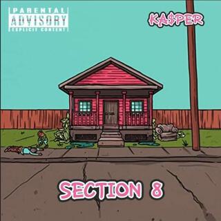 Section 8