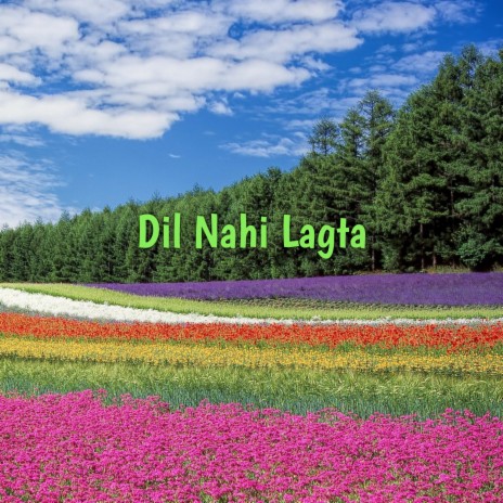 Dil Nahi Lagta | Boomplay Music