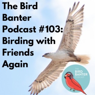 The Bird Banter Podcast #103: Birding with Friends Again