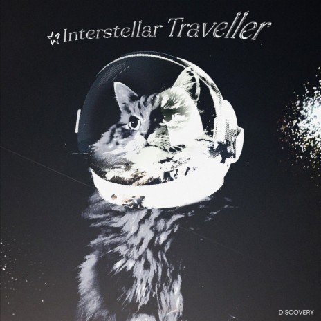 Interstellar Traveller