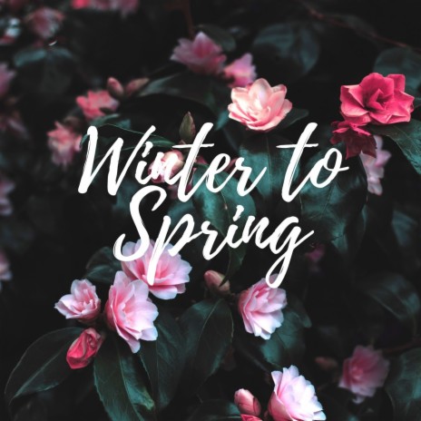 Winter to Spring (Kalimba version) | Boomplay Music