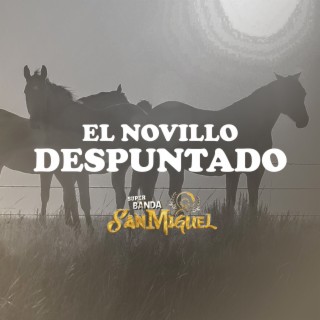 El Novillo Despuntado