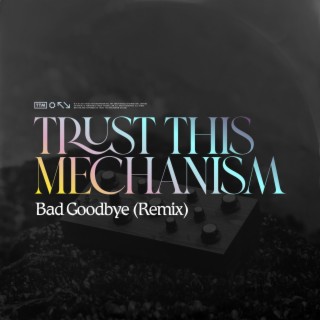 Bad Goodbye (Sam Steele Remix Radio Edit)